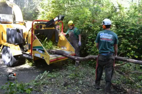 tree services Patrick AFB